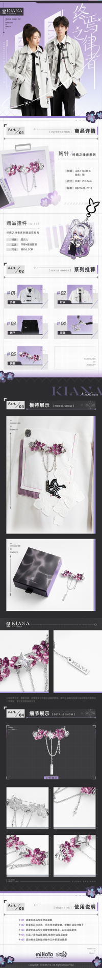 Brooch (终焉之律者系列) (7)