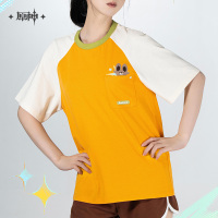 Flames and Mountains Series Impression T-Shirt - Kachina (3)