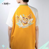 Flames and Mountains Series Impression T-Shirt - Kachina (4)