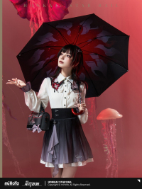 Evernight-themed Impression Series Long Umbrella (5)